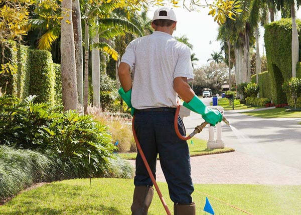 About Anson TX Pest Control